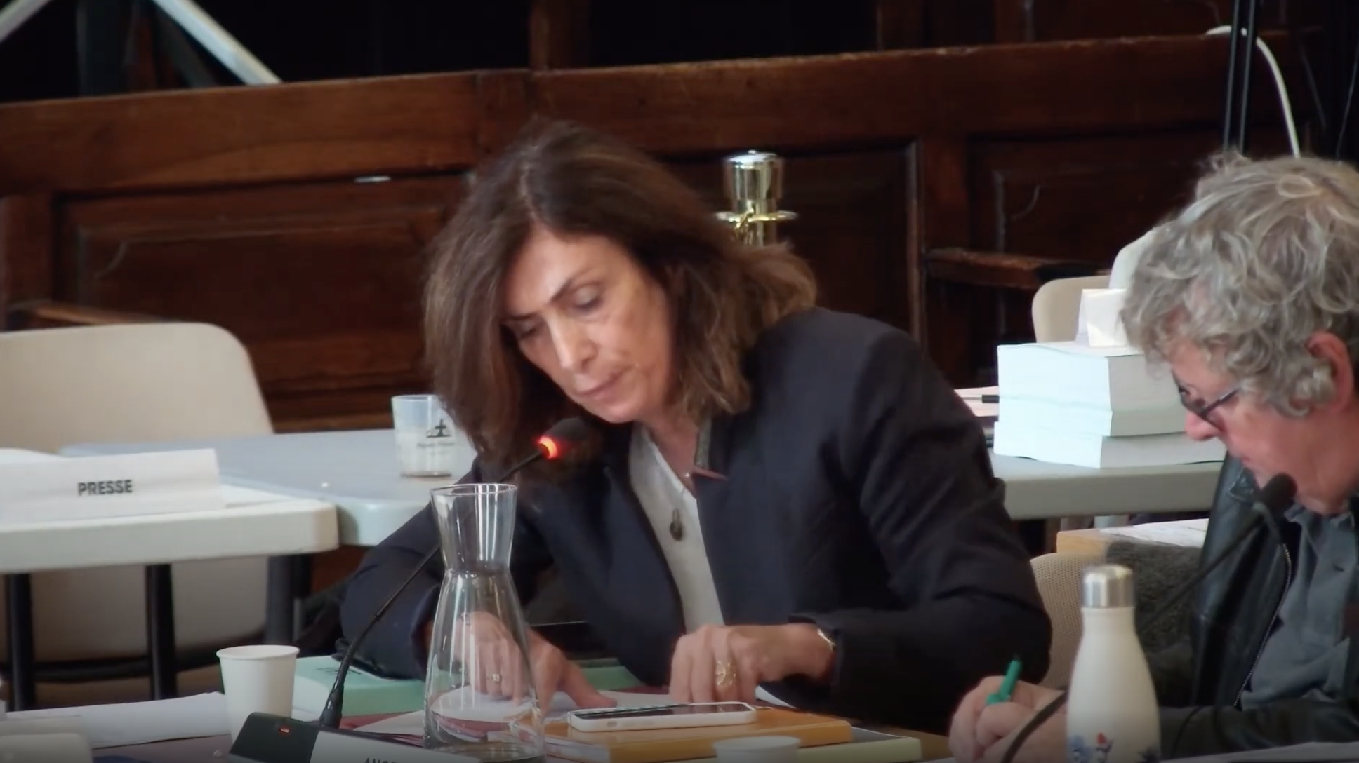 Conseil Municipal du 04/10/2024 : ce qui a été dit pour notre quartier de Luynes